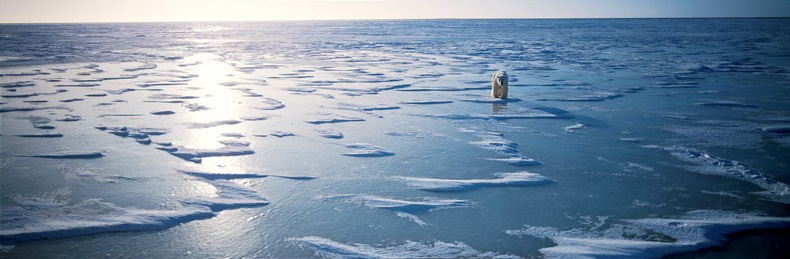 春季特別展「写真展 星野道夫 悠久の時を旅する」_展示002