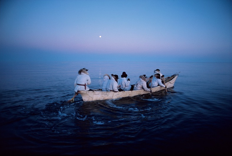 春季特別展「写真展 星野道夫 悠久の時を旅する」_展示010