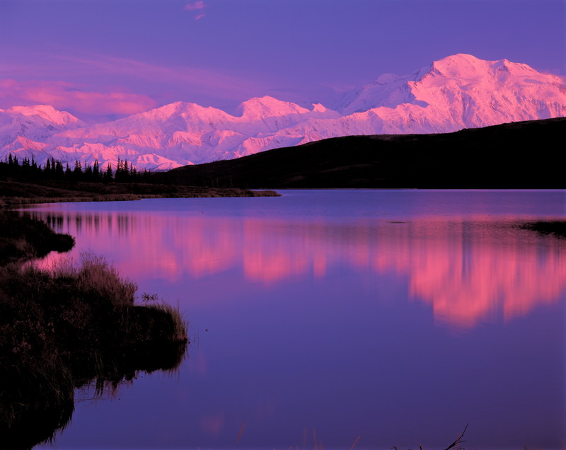 春季特別展「写真展 星野道夫 悠久の時を旅する」_展示012