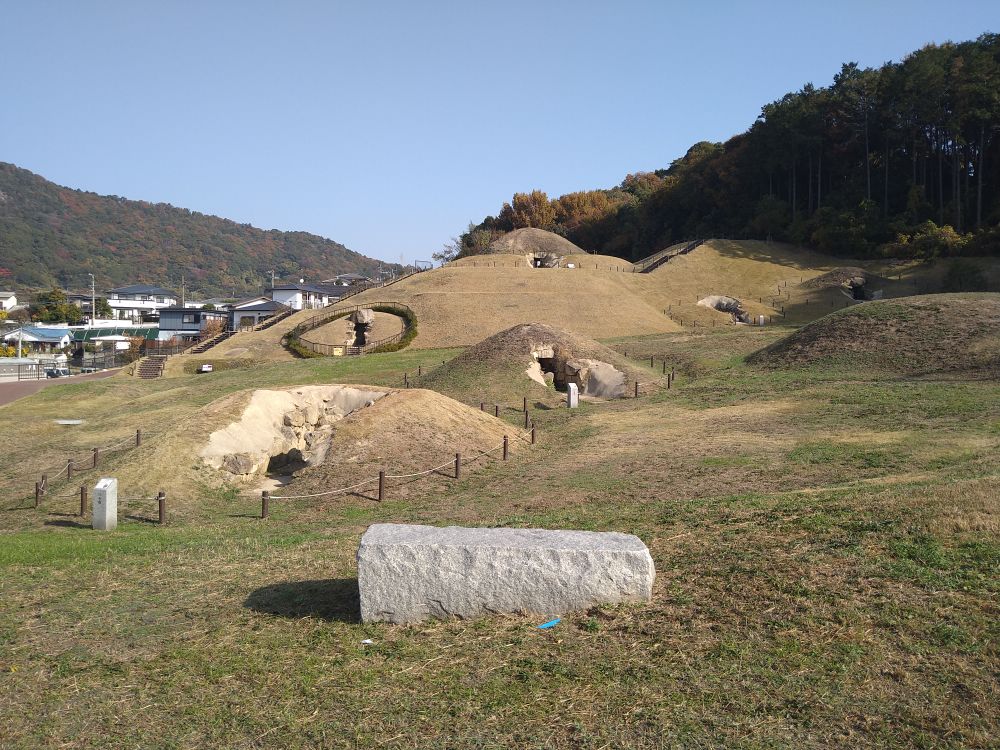 秋の善一田古墳公園1写真