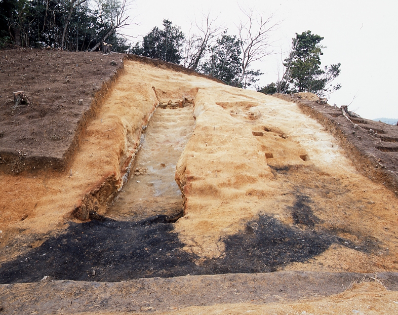 小田浦窯跡写真