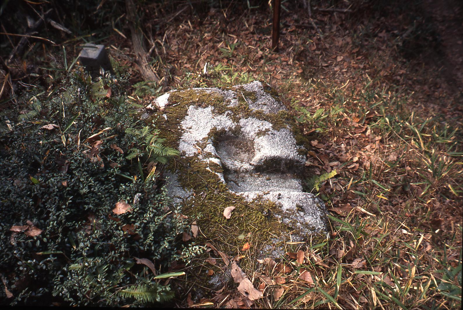 坂本口城門 門礎写真